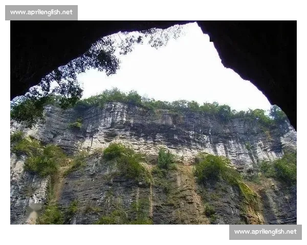 央视盯上开阳猴耳天坑！出片率 90%，这 “飞翔” 太上头